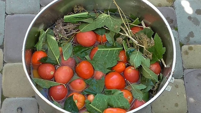 Mari belajar cara menyimpan tomato di rumah dan menikmati buah-buahan segar sehingga musim sejuk