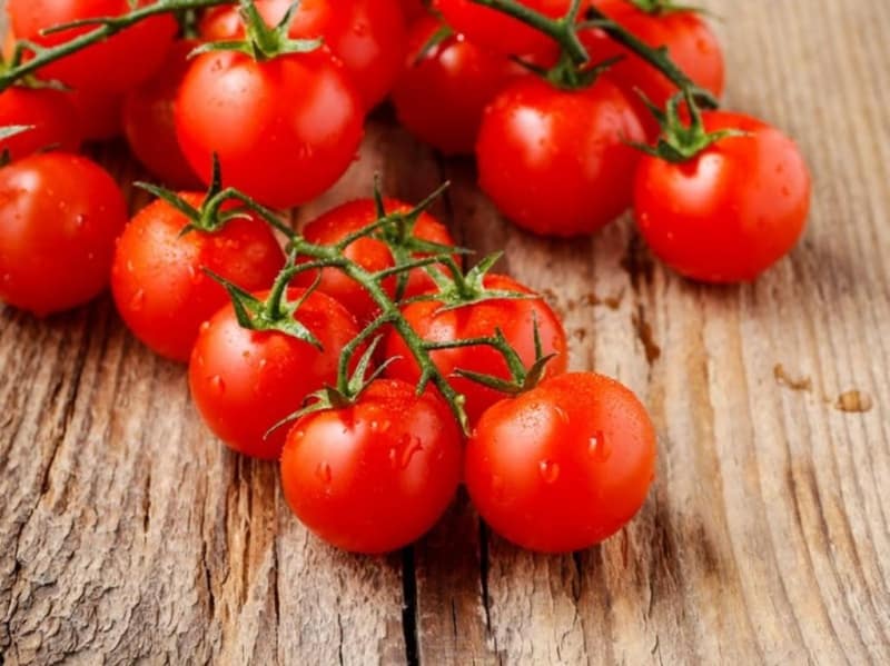 Instrucciones paso a paso sobre cómo cultivar un tomate Moneda: descripción y secretos del cuidado adecuado