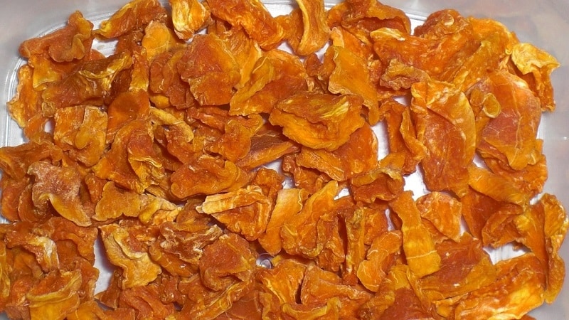 Harm and benefits of dried pumpkin: how it affects the body, how to properly dry and eat it