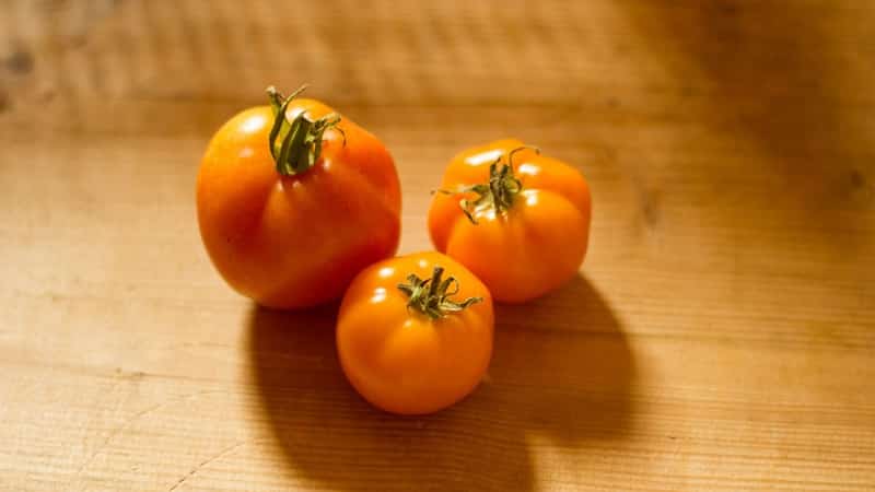 Helder, uiterst nuttig en aanbeden door kinderen, tomateneendje voor het kweken in kassen en open grond