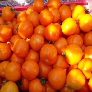 Helder, uiterst nuttig en aanbeden door kinderen, tomateneendje voor het kweken in kassen en open grond