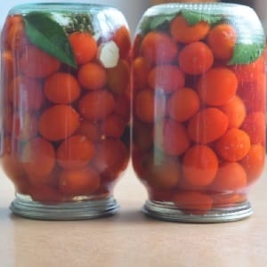 Preparing cherry tomatoes for the winter: the most delicious preserved recipes and recommendations for their preparation