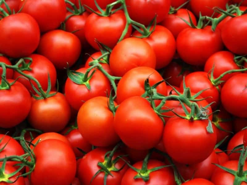 Adakah patut menanam tomato Betta di plot anda? Ciri-ciri dan gambar varieti, nuansa penanaman