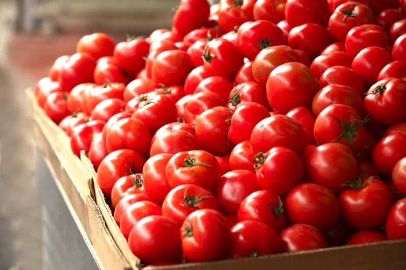 Lohnt es sich, auf Ihrem Grundstück eine Betta-Tomate zu pflanzen? Eigenschaften und Fotos der Sorte, Nuancen des Anbaus