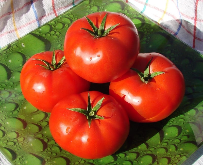 Lohnt es sich, auf Ihrem Grundstück eine Betta-Tomate zu pflanzen? Eigenschaften und Fotos der Sorte, Nuancen des Anbaus