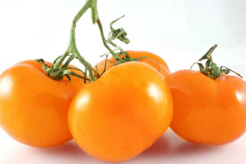 A godsend for gardeners - the Golden Mother-in-Law tomato: characteristics and description of the variety, cultivation and care