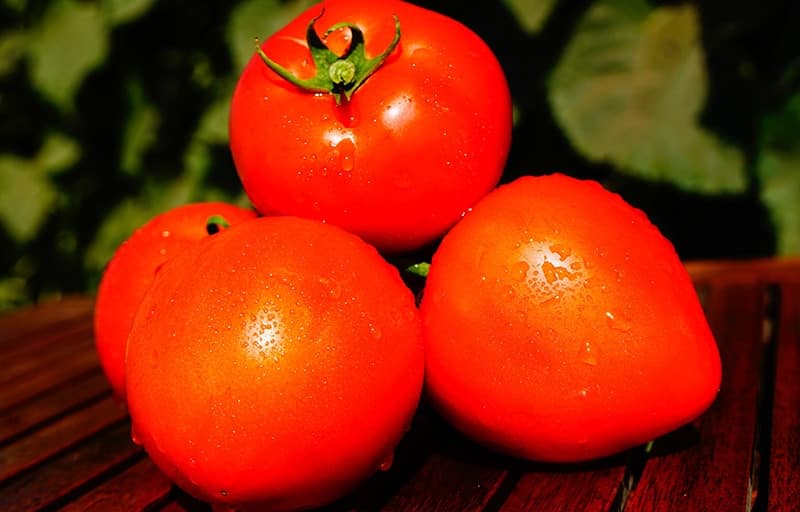 Eén van de vroegste tomatenrassen is de Franse hybride Supernova F1