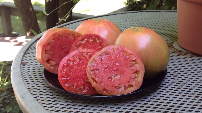 Tomates maduros precoces para sucos, saladas e conservas Fátima - características e descrição da variedade