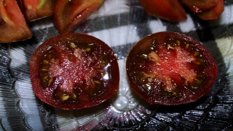 Fantastisk frisk og like god i konservering - den svarte Gourmand-tomaten og det grunnleggende om å dyrke denne sorten