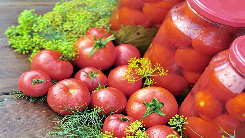 Kui maitsev ja ebatavaline on talveks roosade tomatite valmistamine - valik parimatest retseptidest