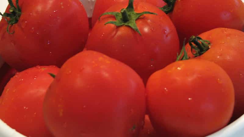 We get a high yield with minimal costs and risks by growing a productive Kolkhoz tomato