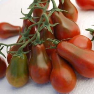 Aparência interessante e sabor agradável para apreciadores de variedades inusitadas - Tomate Pêra Negra