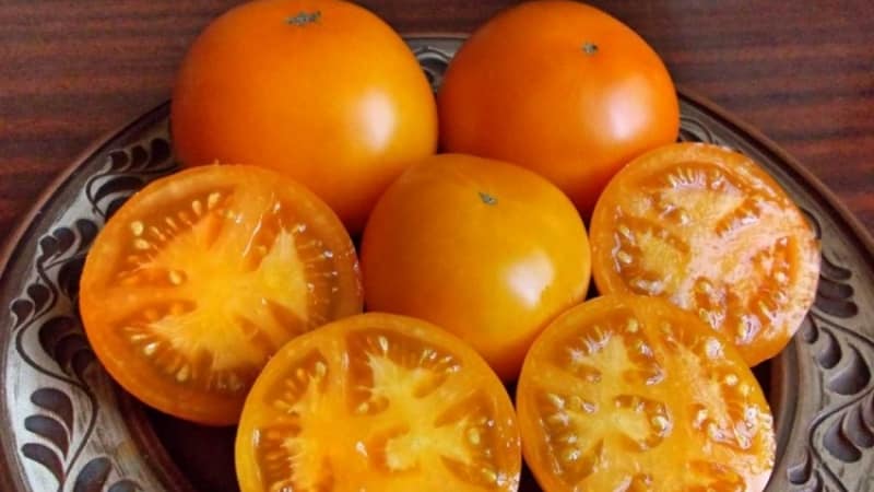 Tomato Orange mirakel er et ekte funn for enhver sommerboer