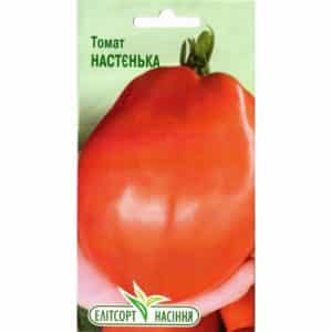 Isang iba't-ibang na pantay na mabuti para sa parehong mga greenhouse at bukas na lupa - ang Nastenka tomato at ang paraan ng paglaki nito