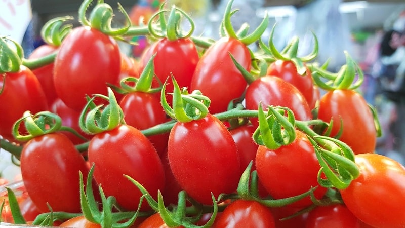 Paano palaguin ang isang tomato hybrid na Barberry sa iyong site at kung anong mga positibong katangian mayroon ito