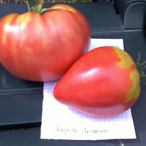 En sort med upåklagelig smag og aroma - King of London-tomaten: anmeldelser, fotos og plejehemmeligheder