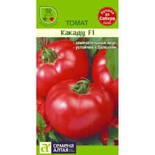 קישוט בהיר במיטות שלך - Kakadu tomato f1: ביקורות וסודות של קבלת יבול שופע