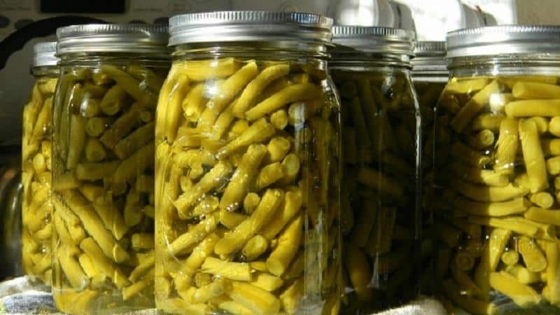 Pilihan resipi terbaik untuk kacang hijau dalam tin: kami memasak lazat dan asli daripada bahan-bahan mudah