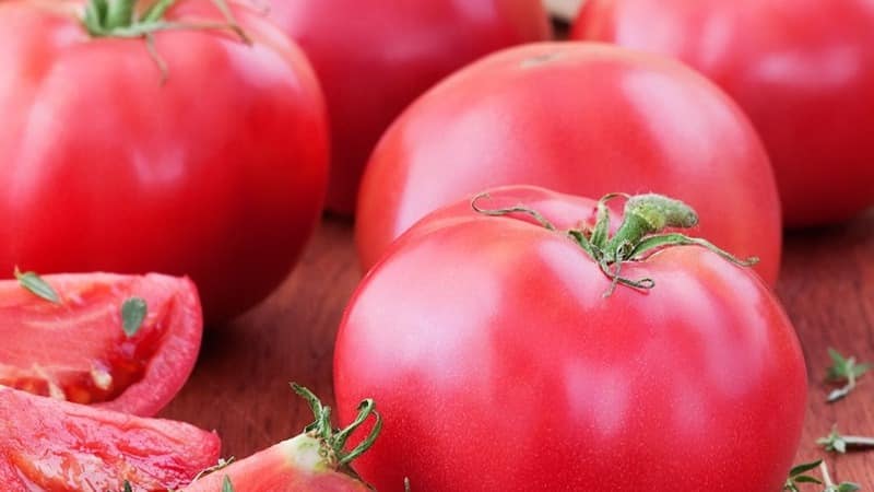 Ikke lunefuld at passe på, men samtidig rig på udbytte, Nice-tomaten: fotos, anmeldelser og voksende hemmeligheder