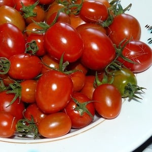 Hinahangaan ng mga bata at matatanda, itong maliwanag na greenhouse hybrid na may lasa ng prutas ay ang Yellow Date tomato.