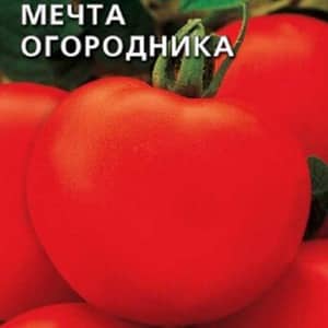 Зашто је парадајз Гарденер'с Дреам толико вољен и популаран: опис сорте и рецензије искусних летњих становника