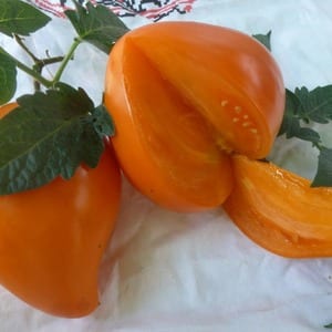 Mga higanteng masarap na orange na prutas - orange na strawberry tomato