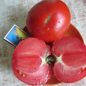 Fleshy and sweet fruits for your table - Sugar Pudovich tomato: characteristics and description of the variety