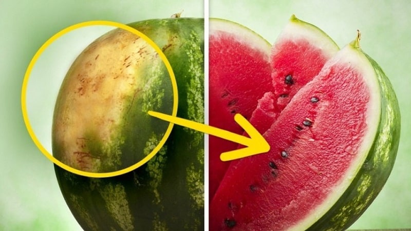 How to understand that a watermelon has gone bad and what to do if this happens