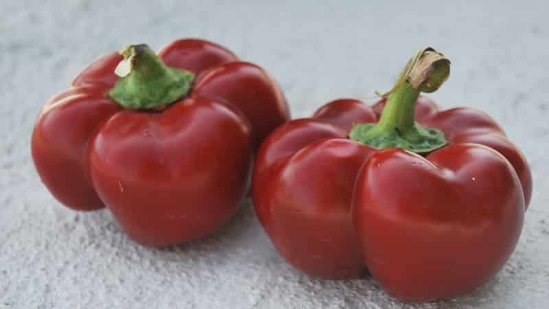 Wie man Paprika aus der Gogoshary-Gruppe richtig anbaut: Merkmale der Sorten und Bewertungen von Sommerbewohnern