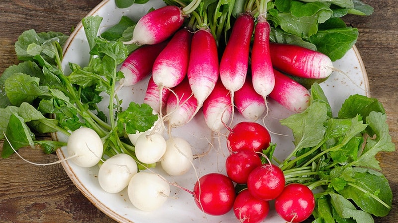 What vitamins are in radishes and why are they good for health?