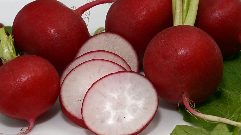 What vitamins are in radishes and why are they good for health?