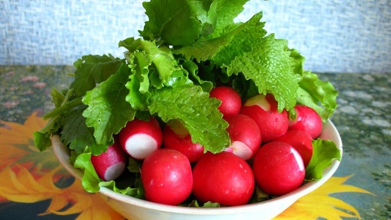 What vitamins are in radishes and why are they good for health?