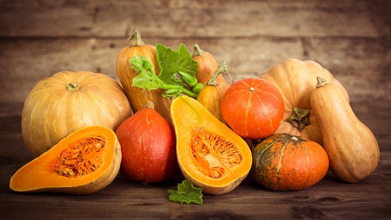 The benefits and harms of raw pumpkin: using a fresh vegetable with maximum effect