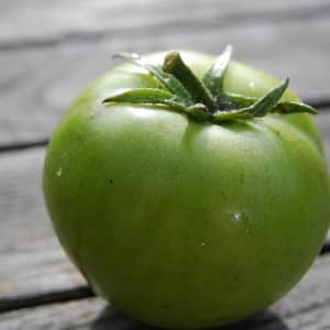 Un cuento de hadas en su sitio: el tomate Princess Frog: reseñas y recomendaciones para un cultivo adecuado