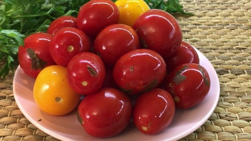 냄비에 토마토를 절이는 최고의 10가지 요리법: 가장 빠르고 간단하지만 맛있는 요리 옵션