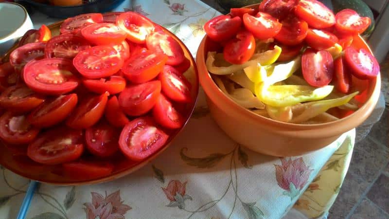 Top 10 best recipes for pickling tomatoes in a pan: the fastest, simplest, but delicious cooking options