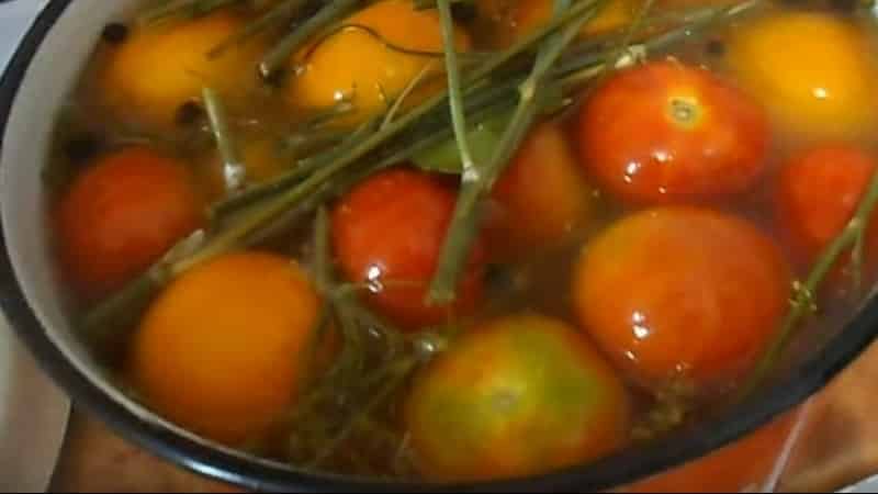 Top 10 best recipes for pickling tomatoes in a pan: the fastest, simplest, but delicious cooking options