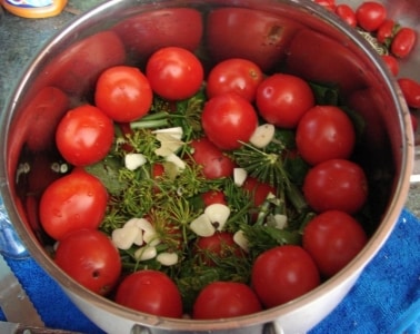 As 10 melhores receitas para conservar tomates em uma panela: as opções de cozimento mais rápidas, simples, mas deliciosas