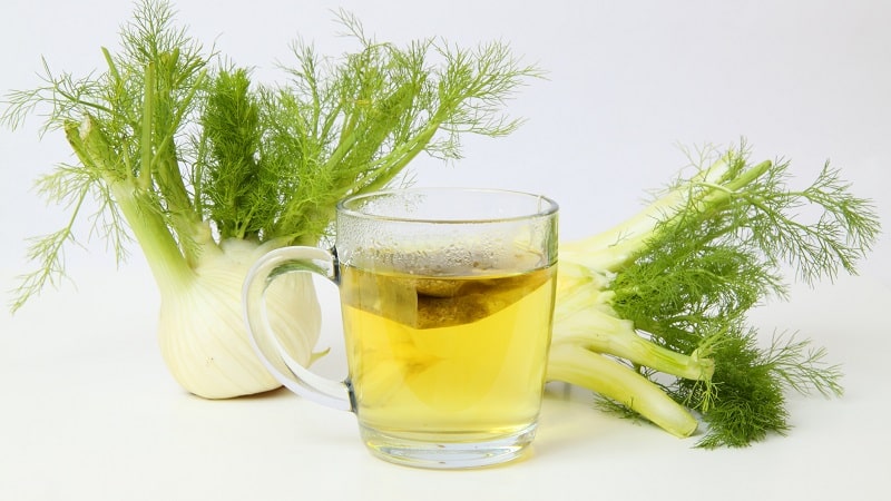 A tasty and healthy way to fight excess weight: dill for weight loss