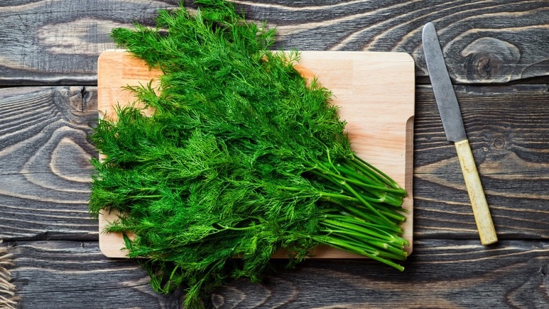 A tasty and healthy way to fight excess weight: dill for weight loss