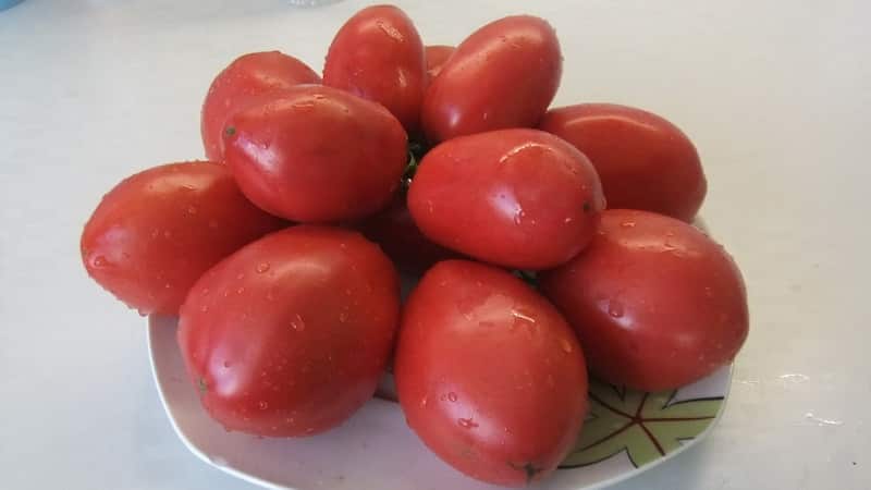 Una rica cosecha de pequeños tomates con forma de ciruela de cada arbusto: tomate rosa pasa y los secretos para cuidarlo