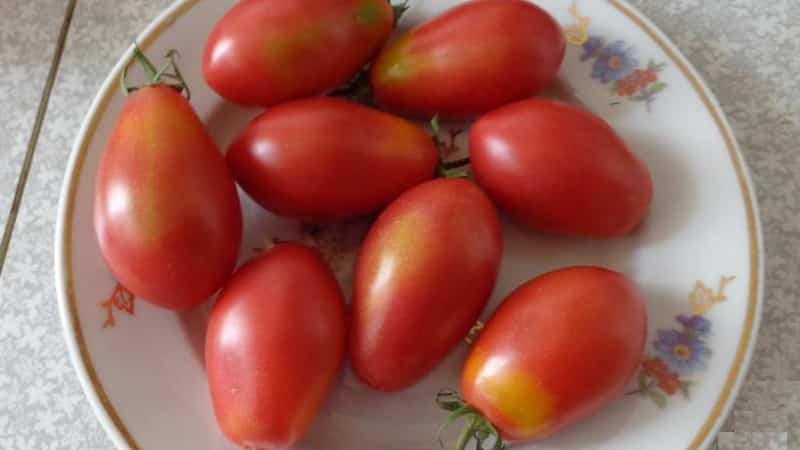 Een rijke oogst van kleine pruimvormige tomaten uit elke struik - Roze rozijntomaat en de geheimen van de verzorging ervan