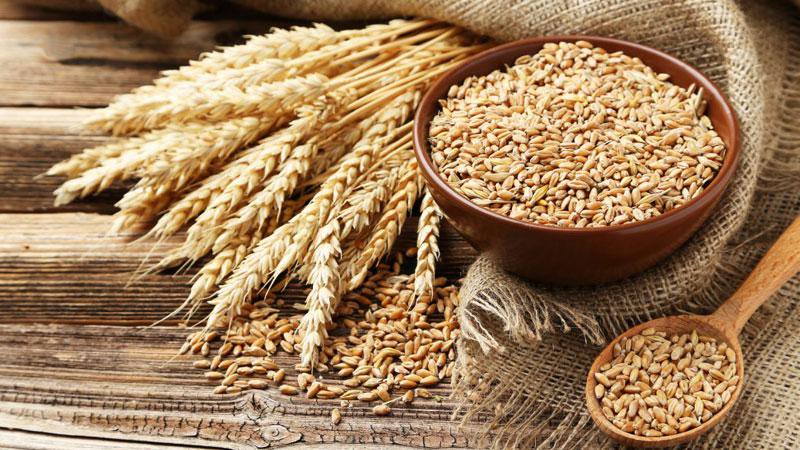 What is made from rye and what are the benefits of this cereal?