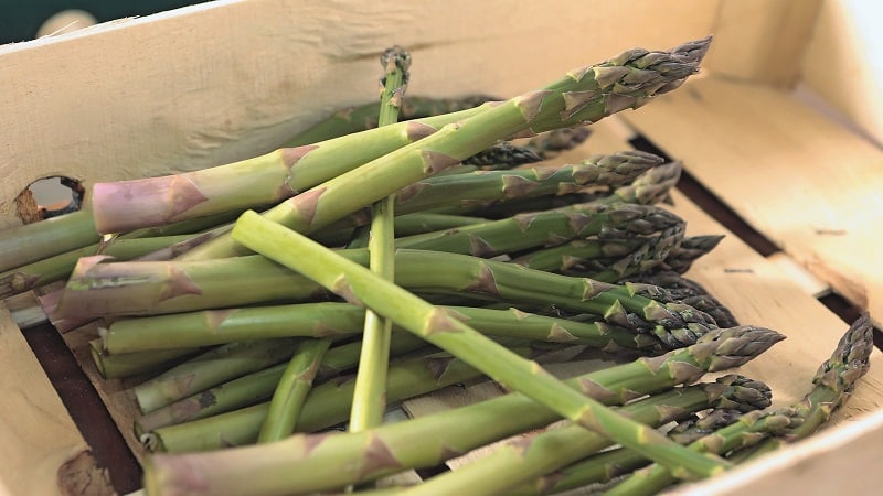 Cosa sono gli asparagi, come sono e come si usano?