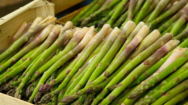 Qu’est-ce que l’asperge, à quoi ressemble-t-elle et comment est-elle utilisée ?