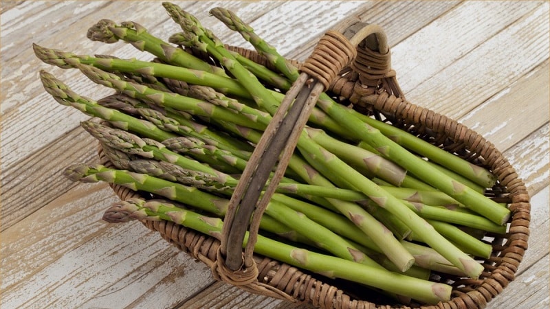 Qu’est-ce que l’asperge, à quoi ressemble-t-elle et comment est-elle utilisée ?