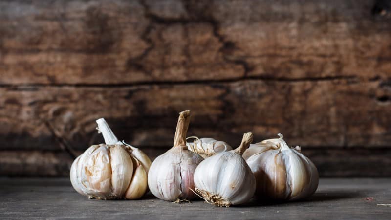 Apa yang berlaku jika anda makan bawang putih setiap hari, dan berapa banyak yang perlu dimakan supaya tidak membahayakan kesihatan anda