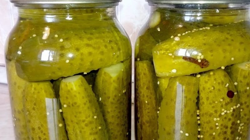 How to prepare fragrant and crispy cucumbers with mustard for the winter