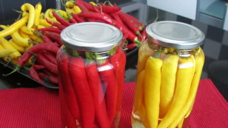 How to prepare pickled hot peppers for the winter without sterilization: the simplest and most delicious recipes