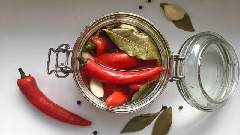 How to prepare pickled hot peppers for the winter without sterilization: the simplest and most delicious recipes